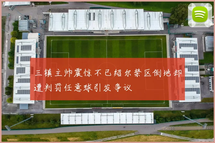 三镇主帅震惊不已绍尔禁区倒地却遭判罚任意球引发争议