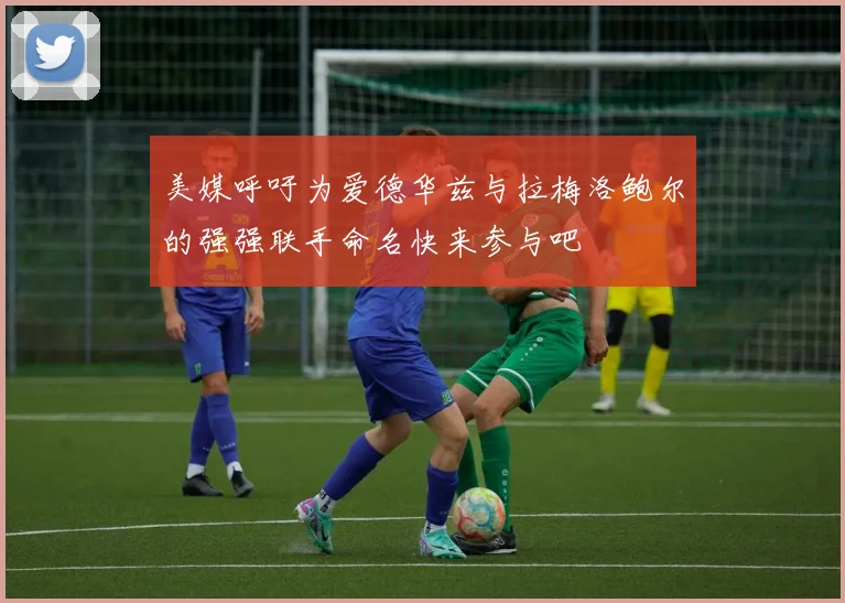 美媒呼吁为爱德华兹与拉梅洛鲍尔的强强联手命名快来参与吧